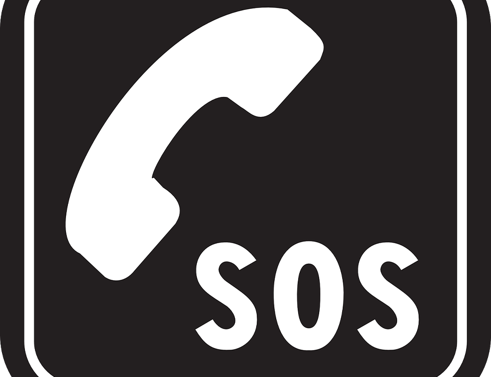 Od početka godine na SOS telefon stiglo preko hiljadu poziva